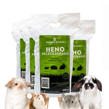 Cargar imagen en el visor de la galería, Heno Seleccionado 2kg Nelson Ranch