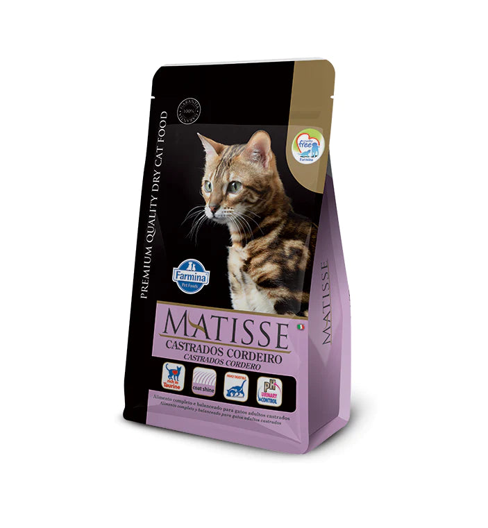 Matisse Castrado Cordero 7.5kg con Regalo