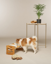 Cargar imagen en el visor de la galería, Comedero Ajustable Doble Bambú y Cerámica 35*16*16CM