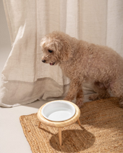Cargar imagen en el visor de la galería, Comedero Individual Elevado Ajustable 19cm Bambú