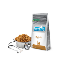 Cargar imagen en el visor de la galería, Vet Life Diabetic Feline 2 Kg Formula Italiana