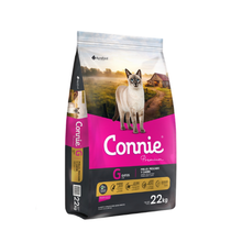 Cargar imagen en el visor de la galería, Connie Gato 22Kg con Regalo