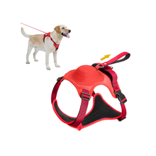 Cargar imagen en el visor de la galería, Arnés 2 En 1 Para Perro Con Correa Extensible Retráctil GiGwi