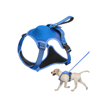 Cargar imagen en el visor de la galería, Arnés 2 En 1 Para Perro Con Correa Extensible Retráctil GiGwi