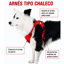 Cargar imagen en el visor de la galería, Arnés 2 En 1 Para Perro Con Correa Extensible Retráctil GiGwi