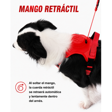 Cargar imagen en el visor de la galería, Arnés 2 En 1 Para Perro Con Correa Extensible Retráctil GiGwi