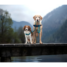 Cargar imagen en el visor de la galería, Correa de Perros Coralpina Cinquetorri 110cm 7/8