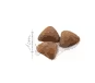 Royal Canin Feline Indoor 1,5kg con Regalo