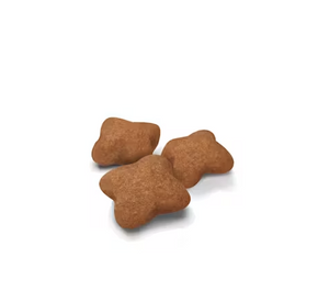 Royal Canin Feline Kitten Sterilized 2,kg con Regalo