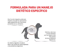 Cargar imagen en el visor de la galería, Royal Canin Gastrointestinal Puppy 2kg con Regalo