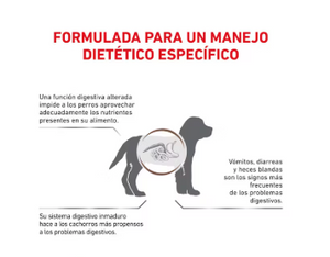 Royal Canin Gastrointestinal Puppy 2kg con Regalo