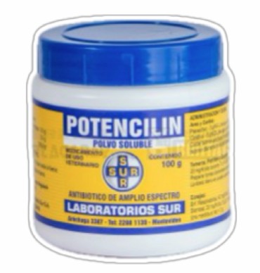 Potencilín Antibiótico Polvo Soluble x 100g Sur