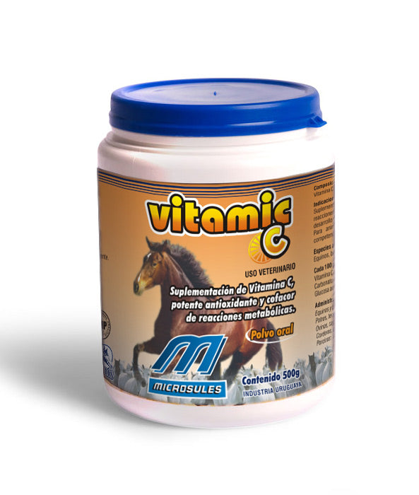 Suplemento Antioxidante Vitamic C 500g Polvo Oral