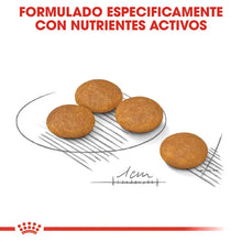 Cargar imagen en el visor de la galería, Royal Canin Mini Dermacomfort 3kg con Regalo