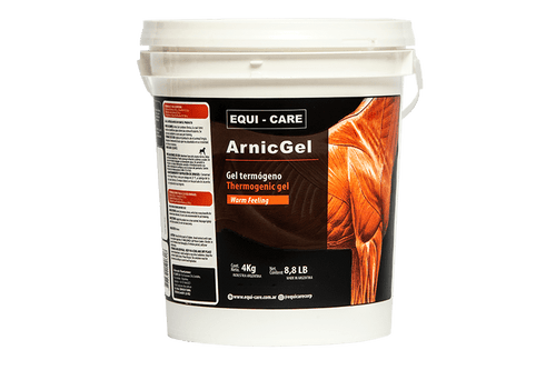 Arnic Gel 1Kg Termogenico