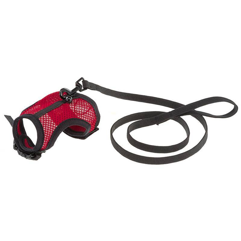 Arnés Para Roedores Y Conejos Jogging S Pettorina C/guinz