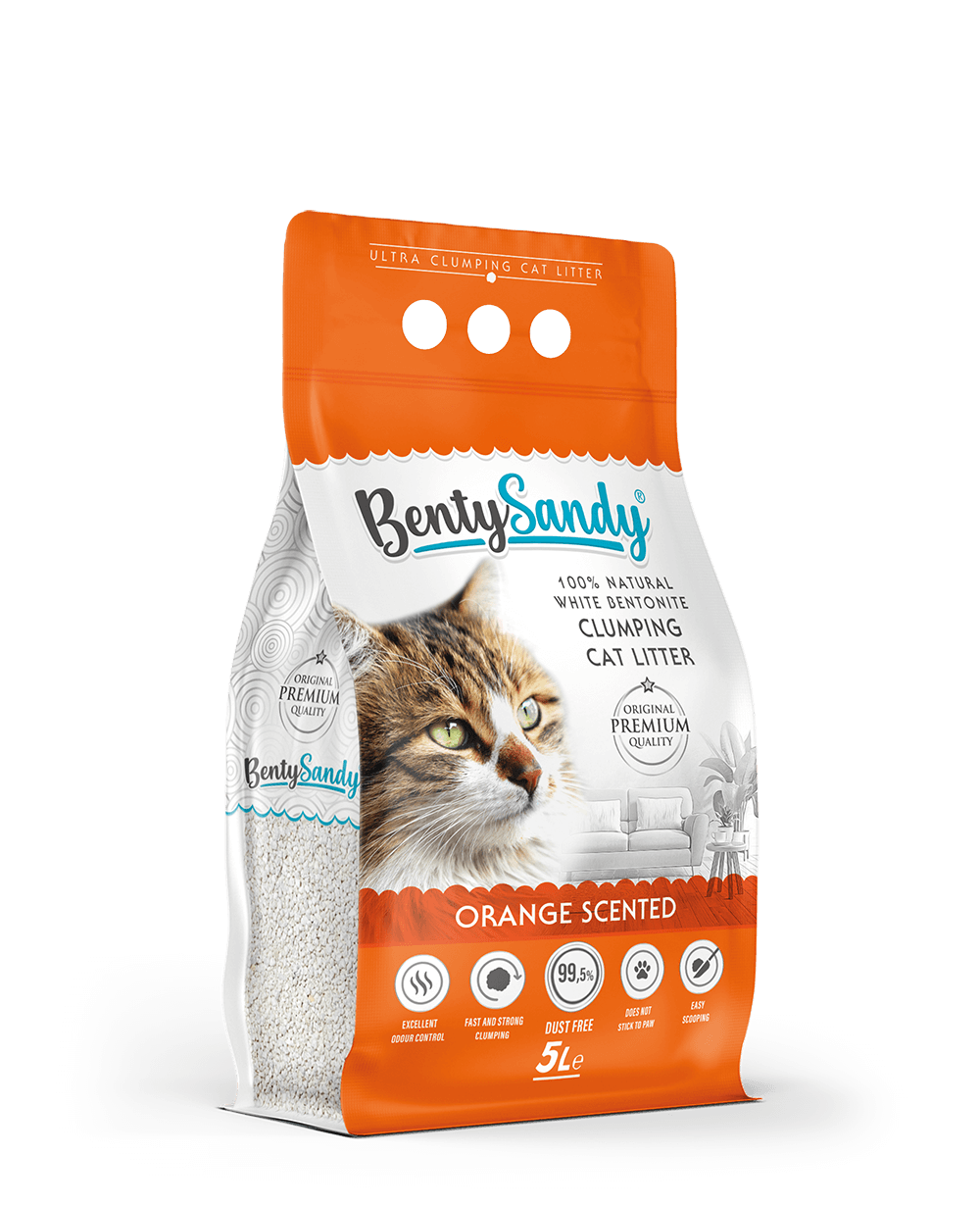 Sanitario Aglomerante BentySandy Naranja 5l