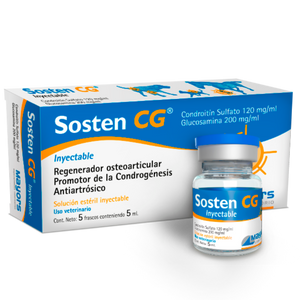 Sosten Cg Inyectable Condroprotector Caja x 5 Ampolla