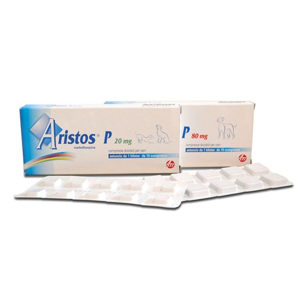 Aristos P 80mg