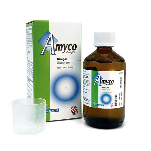 Shampoo Antihongo Amyco 200ml
