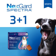 Cargar imagen en el visor de la galería, Nexgard Spectra Pastilla Antiparásito 15 a 30Kg Promo 3+1