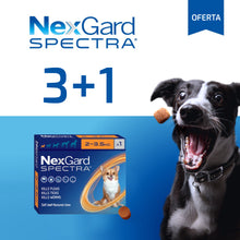 Cargar imagen en el visor de la galería, Nexgard Spectra Pastilla Antiparásito 2 a 3.5Kg Promo 3+1