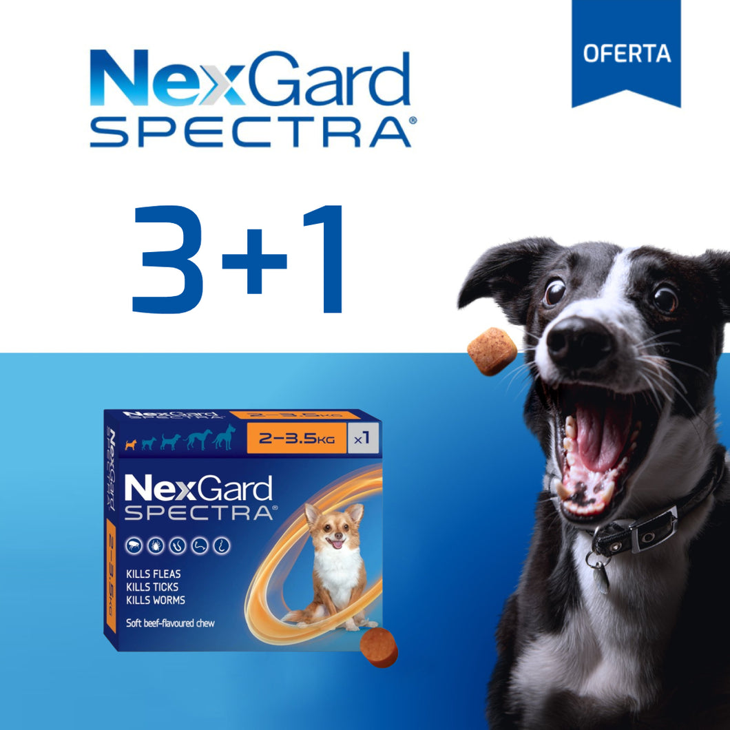 Nexgard Spectra Pastilla Antiparásito 2 a 3.5Kg Promo 3+1