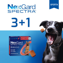 Cargar imagen en el visor de la galería, Nexgard Spectra Pastilla Antiparásito 30 a 60Kg Promo 3+1