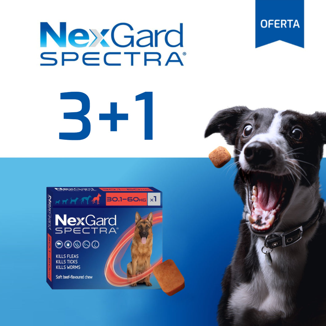 Nexgard Spectra Pastilla Antiparásito 30 a 60Kg Promo 3+1