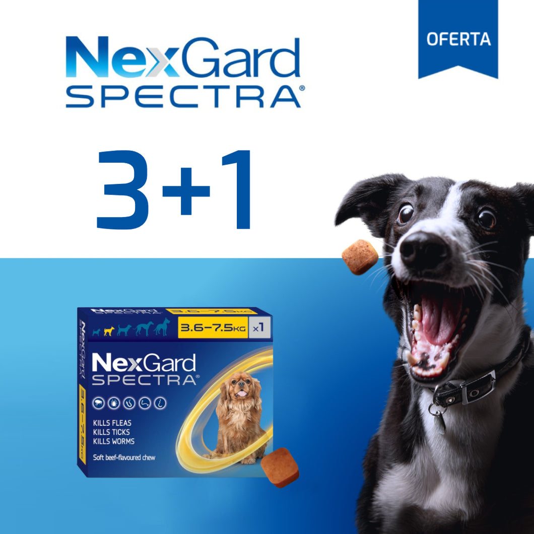 Nexgard Spectra Pastilla Antiparásito 3.5 a 7.5Kg Promo 3+1