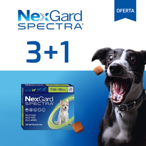 Nexgard Spectra Pastilla Antiparásito 7.5 a 15Kg Promo 3+1
