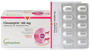 Clavaseptin Amoxicilina 500mg 10 comprimidos Masticables