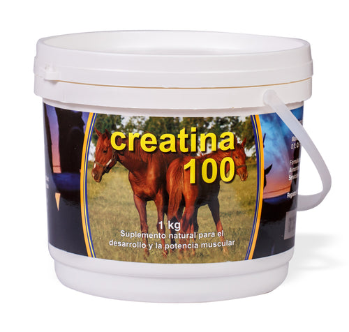 Creatina 100 1Kg