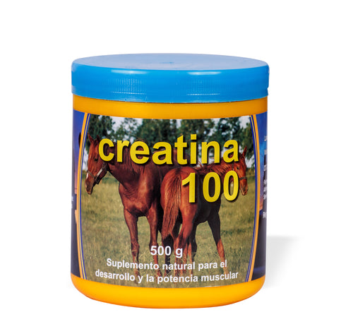 Creatina 100 500g