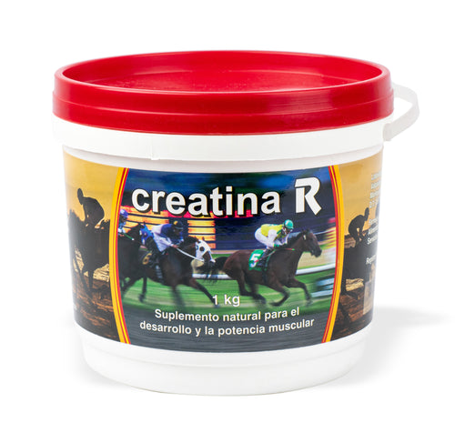 Creatina R 1Kg