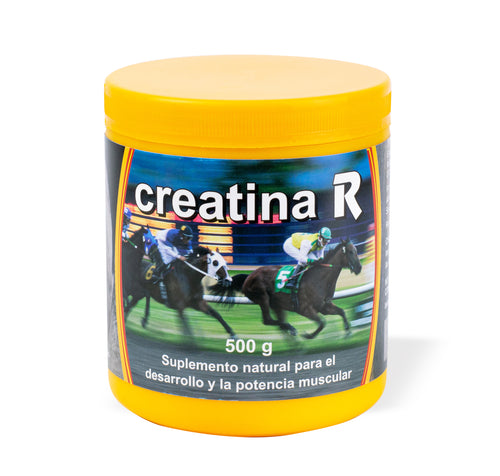 Creatina R 500g