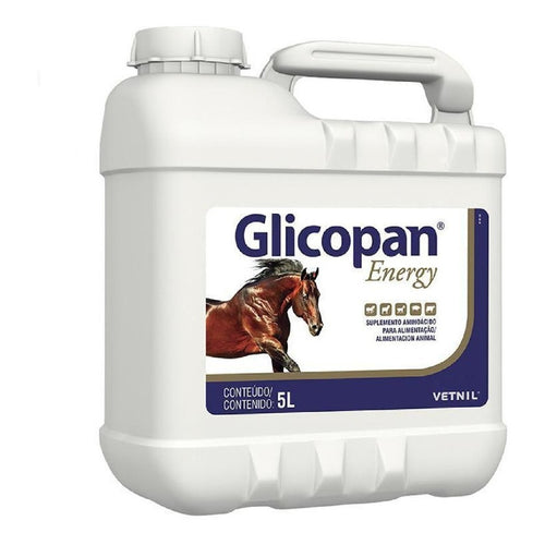 Glicopan Energy 5 Litros Vetnil