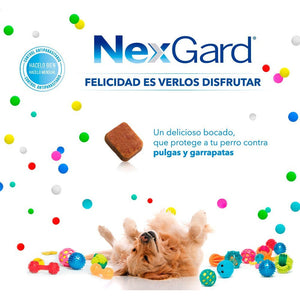 Nexgard Pastilla Antipulgas 4.1 a 10Kg x3 (3 Meses) con Regalo