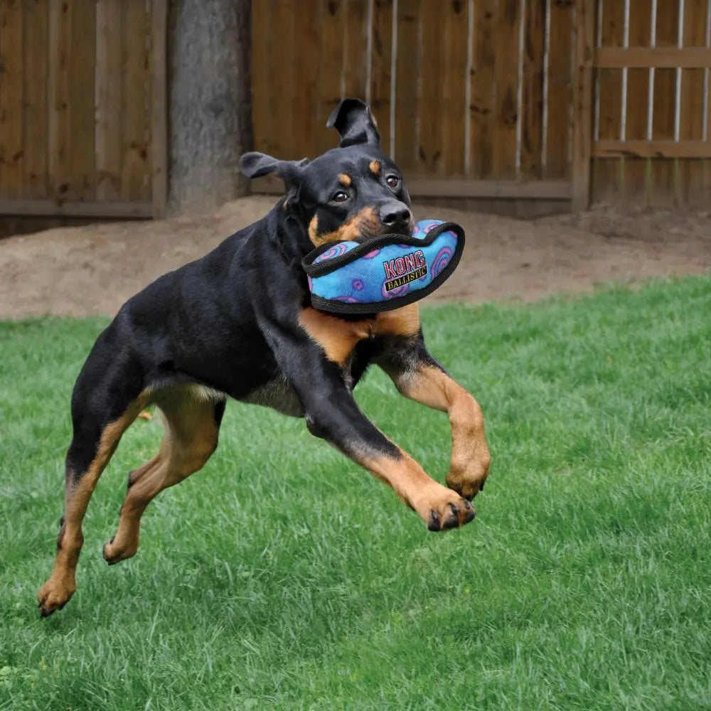 Kong shop ballistic boomerang