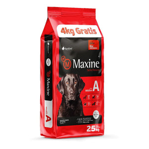 Maxine Perro Adulto 21+4Kg con Contenedor