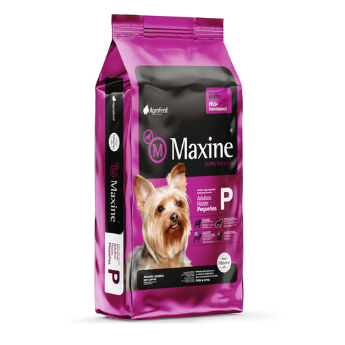 Maxine Perro Adulto Raza Pequeña