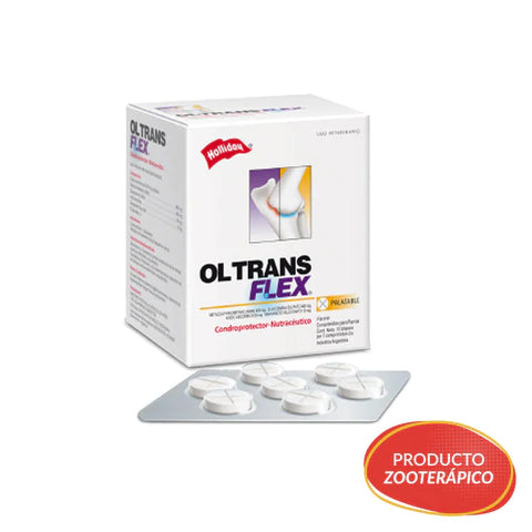 Ol Trans Flex Suplemento Condroprotector 70 comp. Holliday