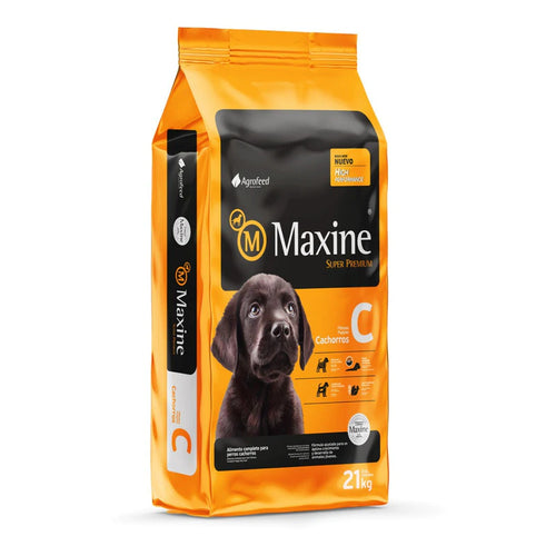 Maxine Perro Cachorro