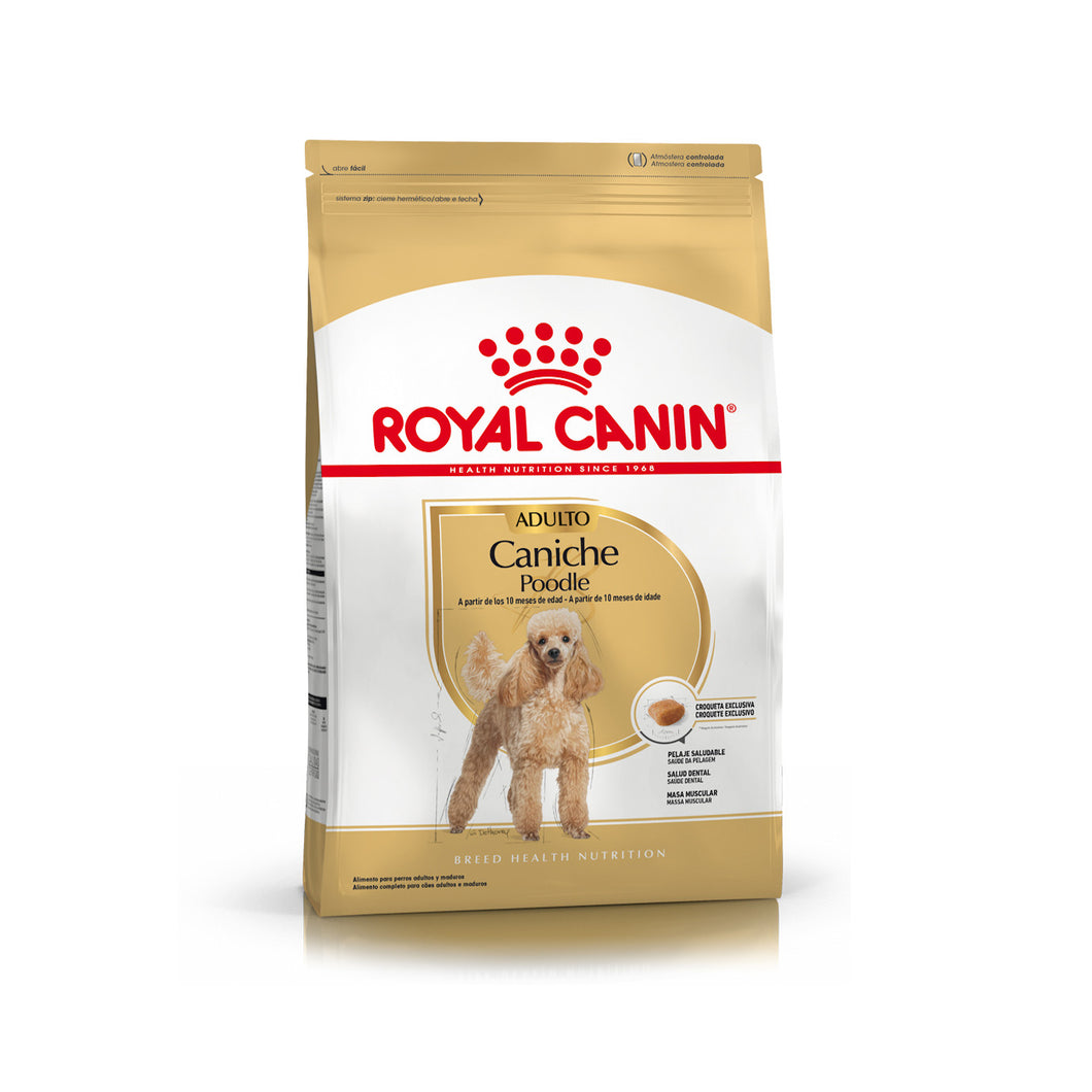 Royal Canin Caniche Poodle 3Kg con Regalo