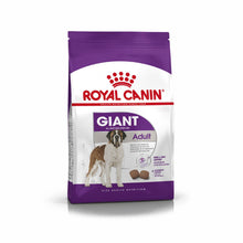 Cargar imagen en el visor de la galería, Royal Canin Giant Adulto 15Kg con Regalo