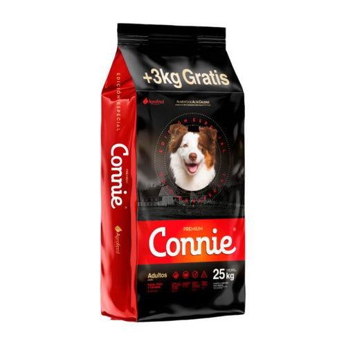 Connie Adulto 22k + 2k + 3 Pates + Snacks