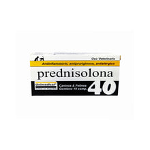 Cargar imagen en el visor de la galería, Prednisolona 40 Antialérgico Unimedical