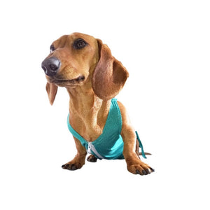 Camiseta Post Quirúrgica para Mascotas Talla 3 (35cm)