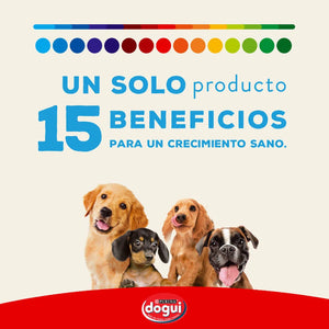 Dogui Perro Cachorro 21kg con Regalo