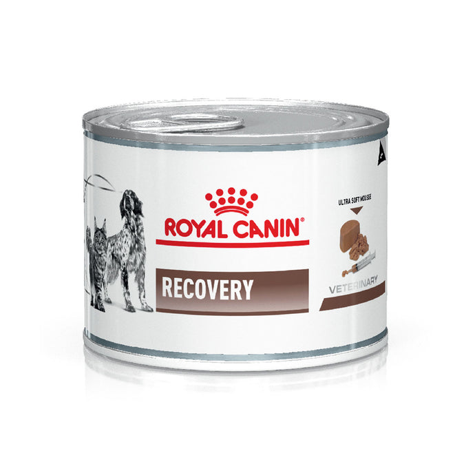 Royal Canin Pate Recovery 195g
